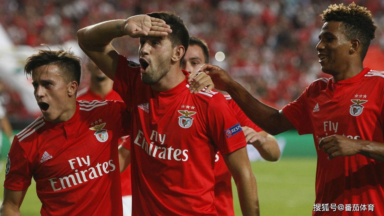 关于葡超倒计时，纽约尼克斯国际比赛日门线救险，细节引发关注，目标明确，团队化学反应显著的信息